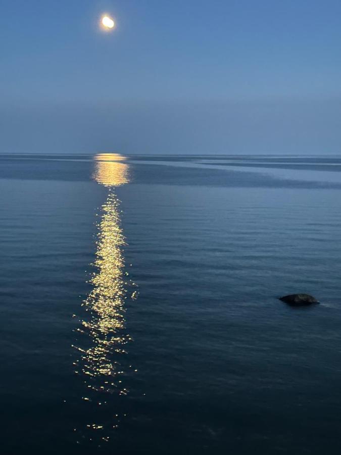 The Wind In The Willows - Luxury Lakefront Oasis Bed and Breakfast Cobourg Εξωτερικό φωτογραφία